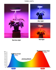 5V Dimmable 3 Hours LED Growth Lamp CE Red Led Grow Light