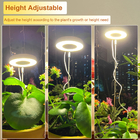 Sunshine Desk Grow Light 8 Hours Grow Lights For Indoor Plants