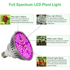 E27 100w Led Grow Light Full Spectrum Lamp Bulb For Veg Flower