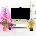 9W Height Adjustable LED Growth Lamp 4000k For Indoor Desk plant