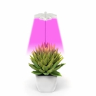 Bee Maple Leaf LED Growth Lamp 12H IRON Red Blue Light Plant