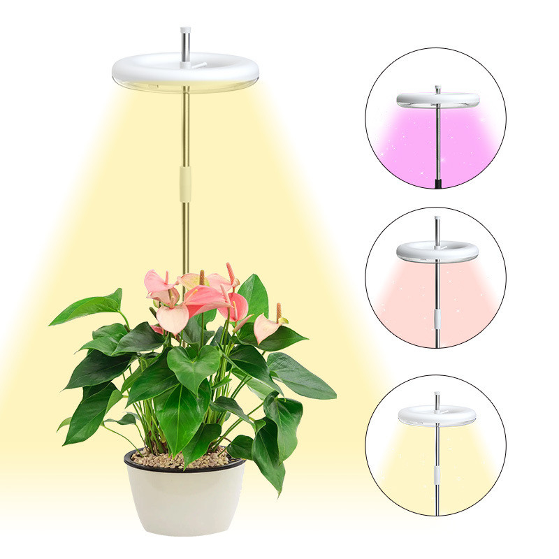 9W Height Adjustable LED Growth Lamp 4000k For Indoor Desk plant