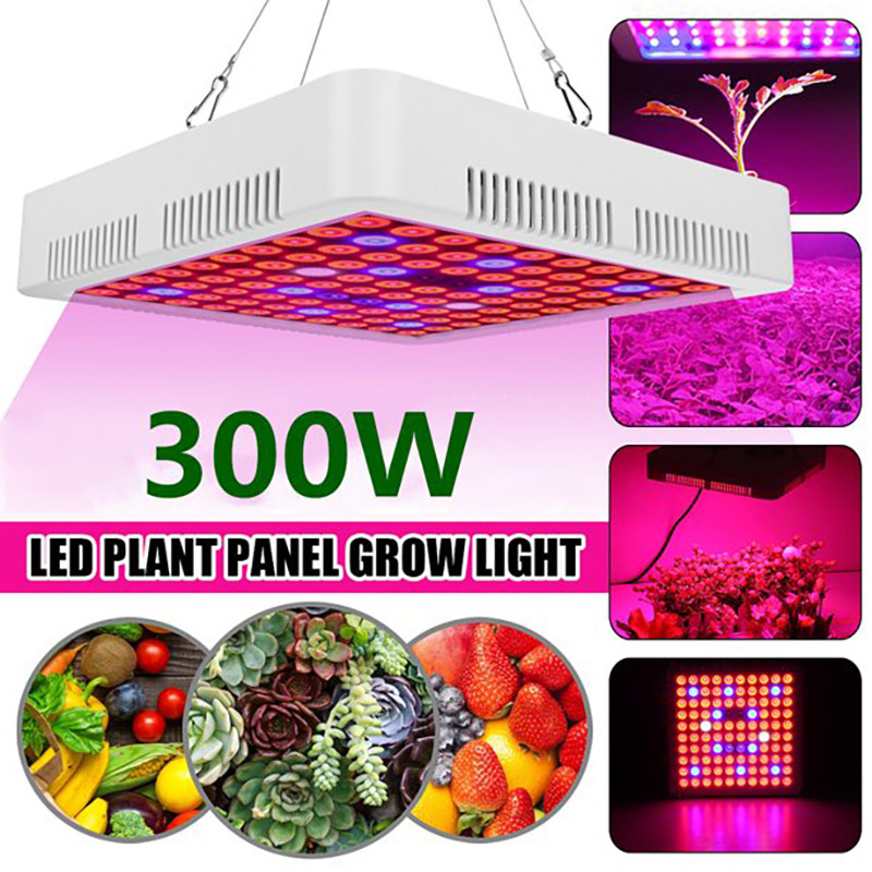 300W Indoor Garden LED Growth Lamp 265V Full Spectrum Grow Light For Greenhouse Plant