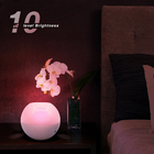 85mm Touch Remote Control Night Light Colorful Table Lamp For Living Room