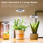 220V Indoor Plant Light  D90mm Mini Desk Growth LED Plant Lamp